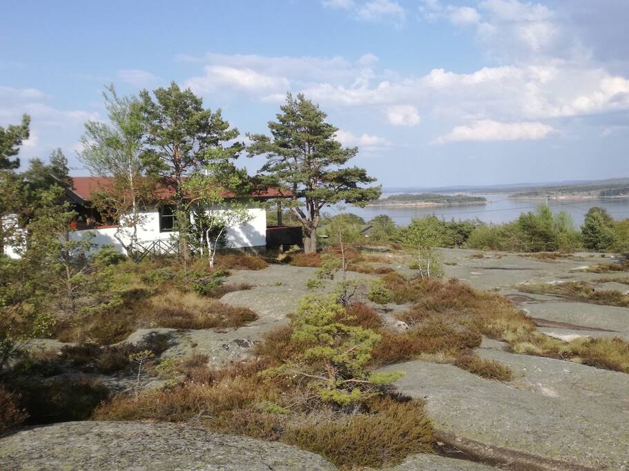 Tomt/utsikt