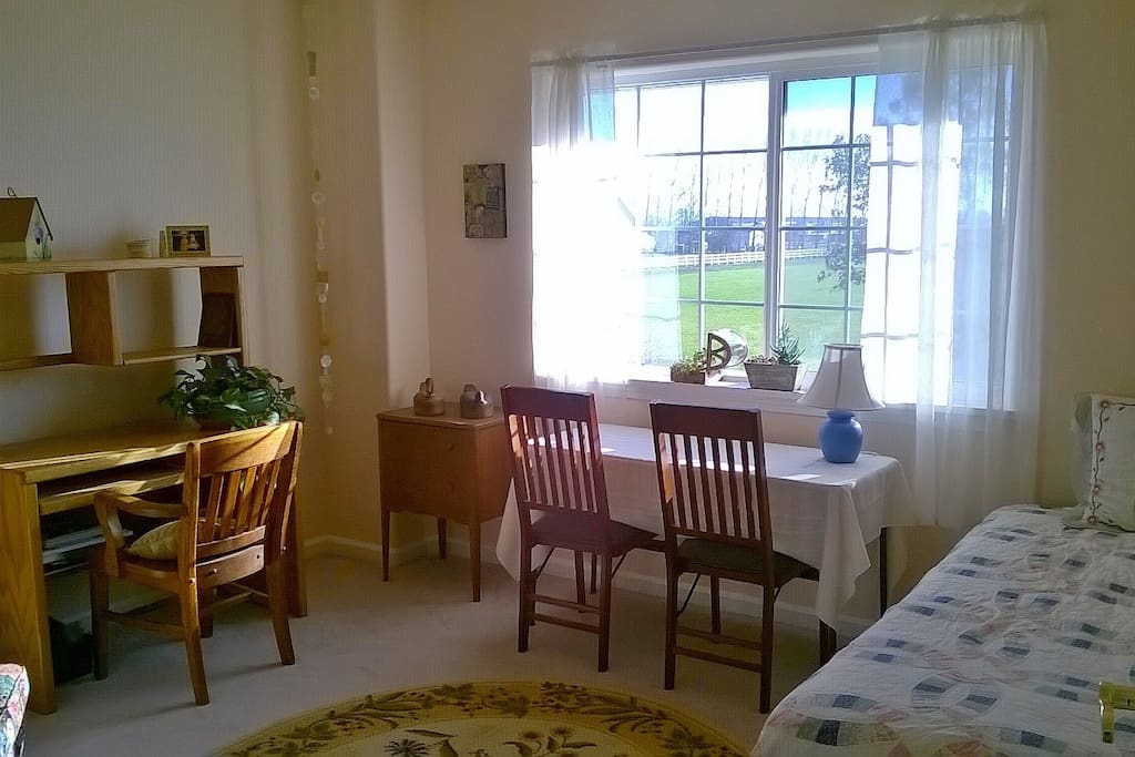 Cute, bright sitting room for reading, watching tv....a quiet place to relax by yourself with a cup or coffee or tea.