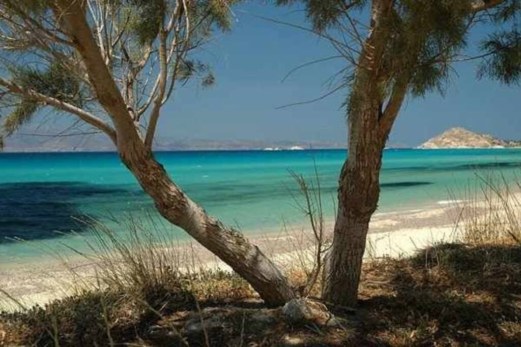 The proximity of the sea, barely 7 meters, will make your vacations unforgettable!!! Forget carrying beach toys and enjoy the crystal clear water and a paradise beach of 2,5 km long!!!