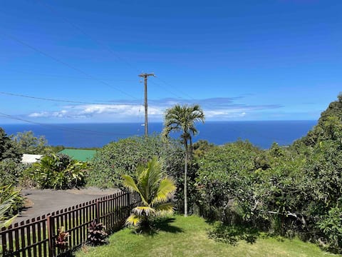 Our Very Hawaii Home: Ocean View, Cats, and Love!