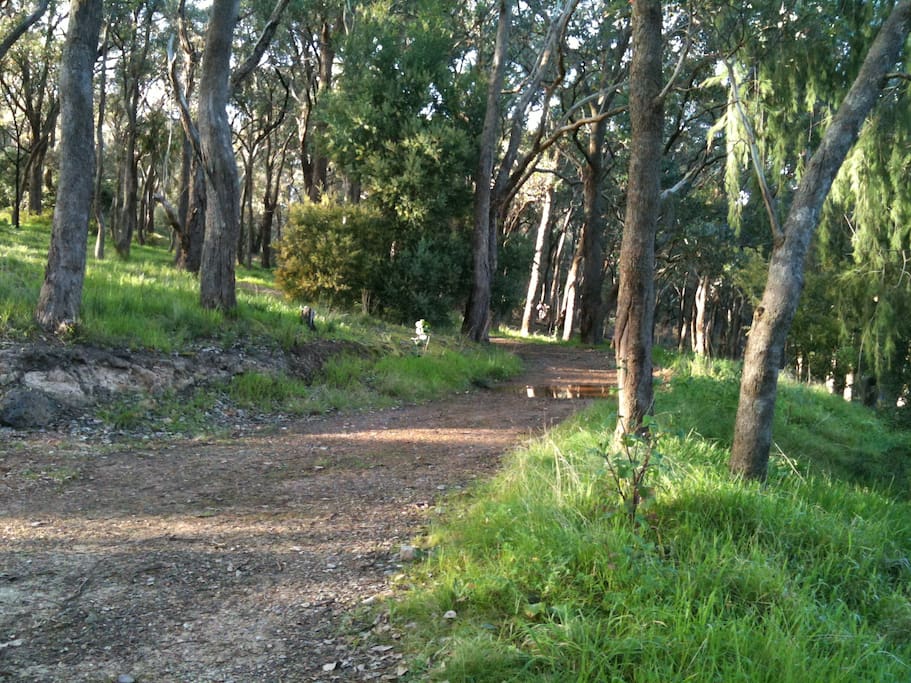 Country bush tracks for walking
