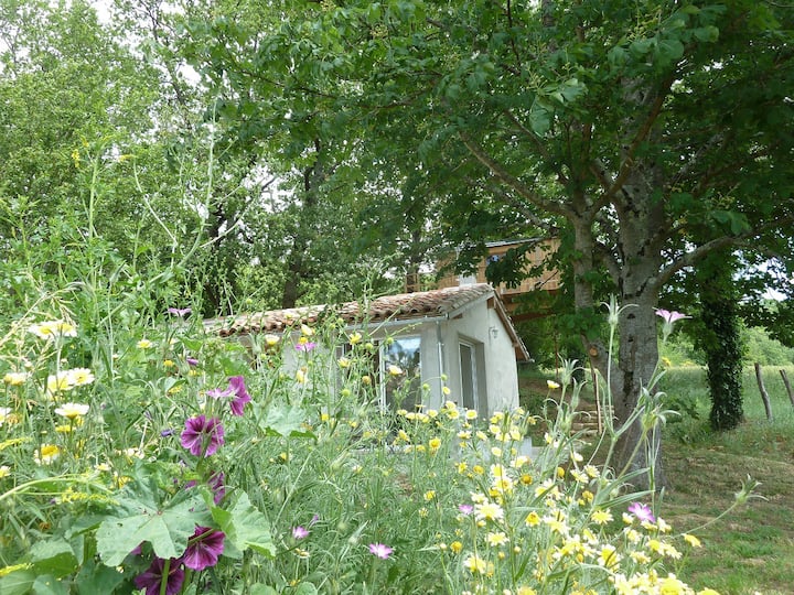 Studio cottage + treehouse