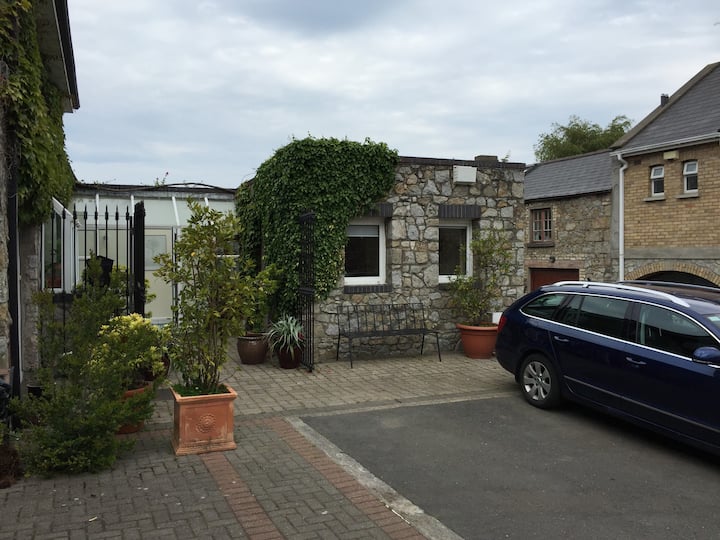 Dublin Holiday Rentals & Homes County Dublin, Ireland Airbnb