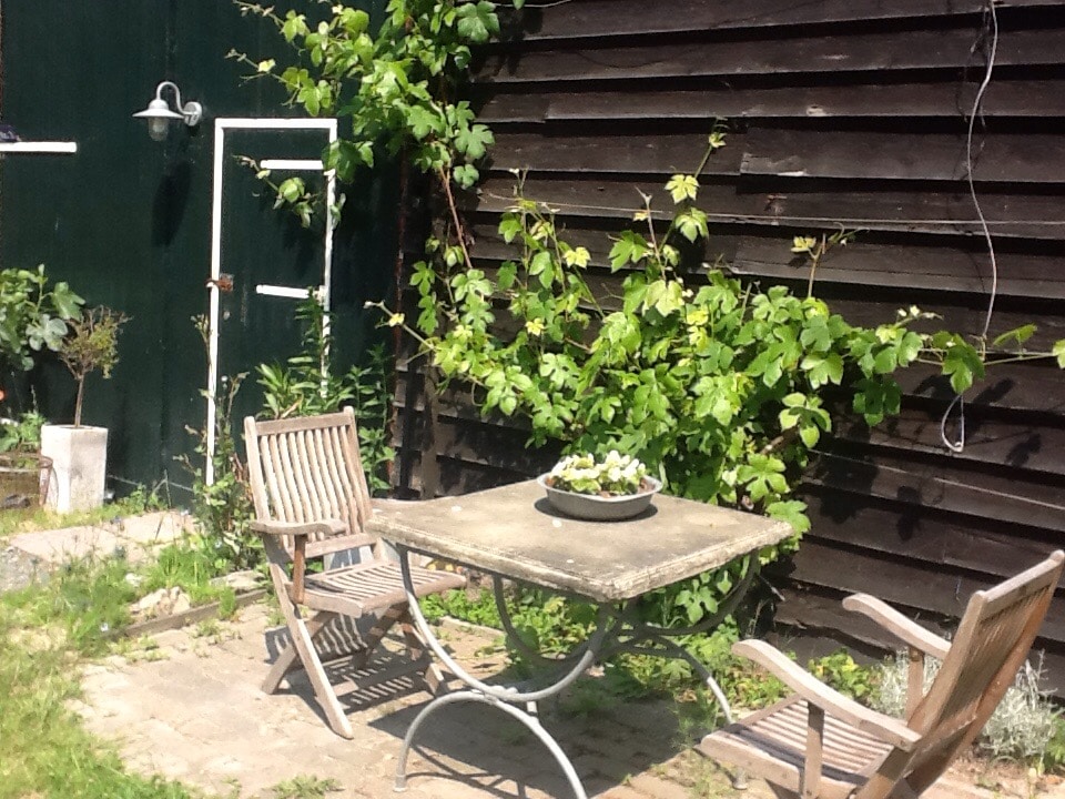 An outdoor seating area is presented, featuring a stone table surrounded by two wooden chairs. Green vines climb against a dark wooden wall, with a neatly maintained garden bed visible nearby. A simple plant pot adds a touch of greenery to the space.