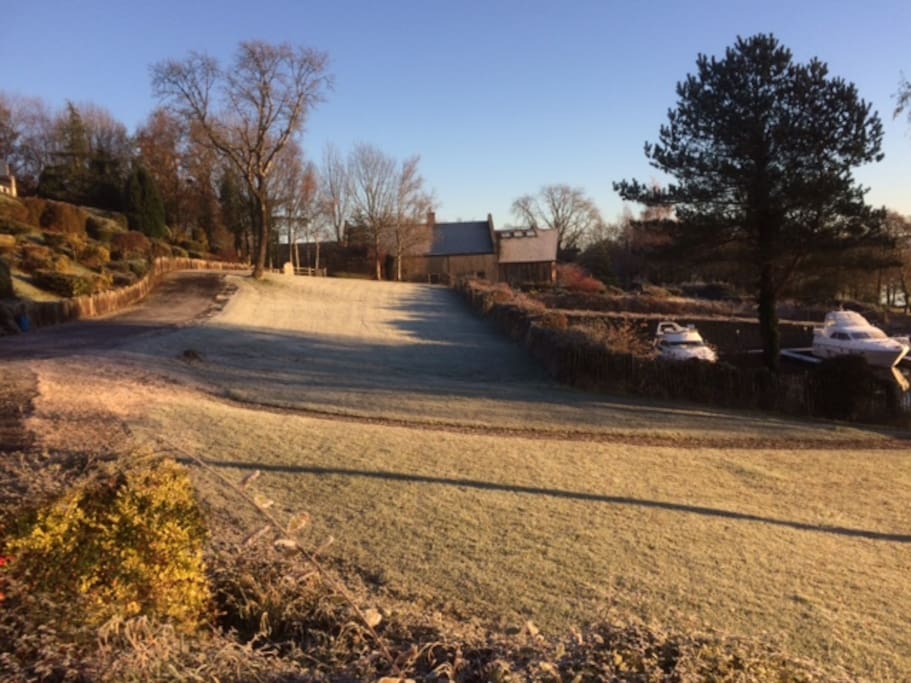 Side Lawn