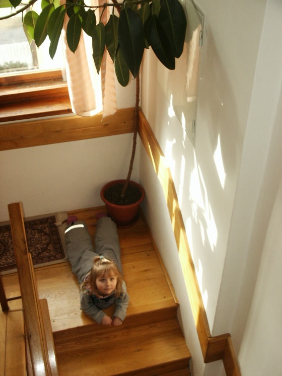 A wooden staircase is illuminated by natural light, creating soft patterns on the walls. A potted plant is positioned near a window, adding a touch of greenery. A cozy rug is placed at the foot of the stairs, enhancing the warm ambiance of the space.