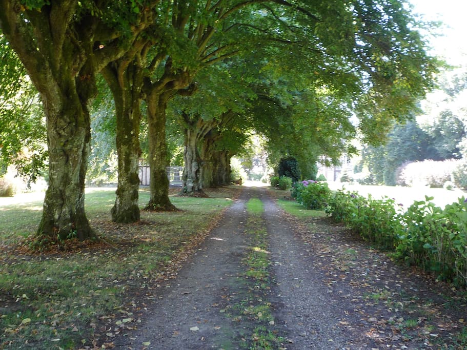 Main garden drive