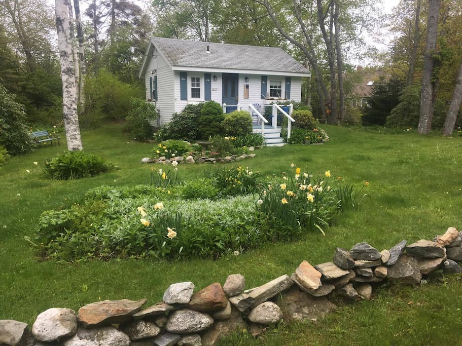 The cottage in spring time