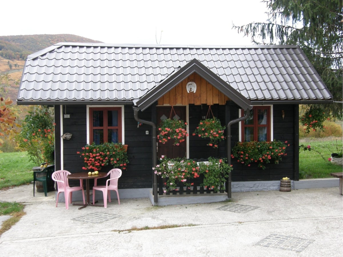 A charming cabin is depicted with a sloped roof covered in dark tiles. Flower boxes filled with vibrant blooms are attached to the front, enhancing the facade. A small outdoor seating area features a round table and two pink chairs, providing a cozy spot to relax.