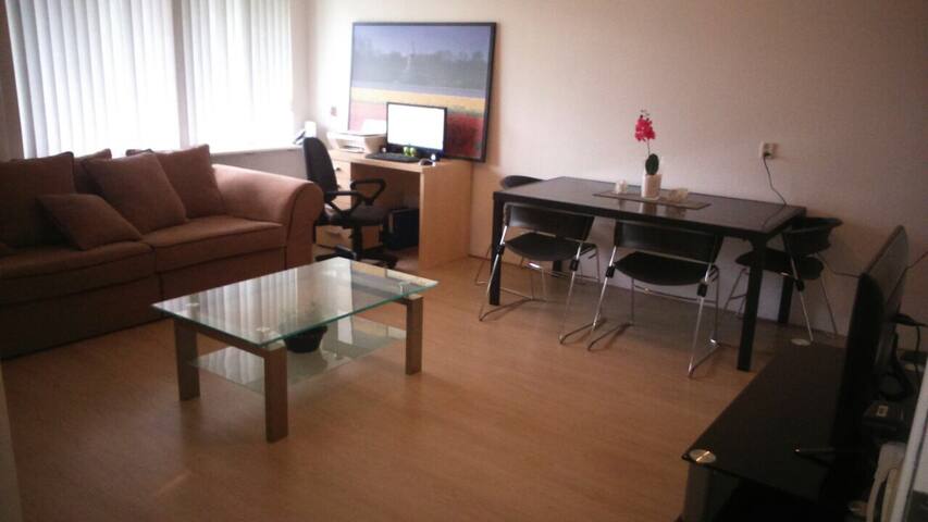 Comodo apart..to en Schiedam Centro