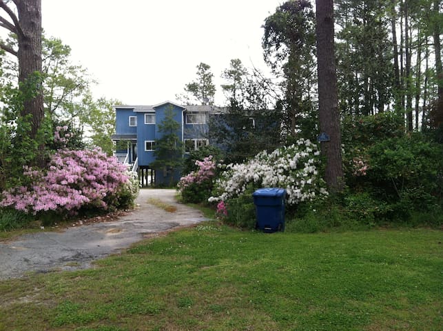 The Wilson Cottage on Green Creek