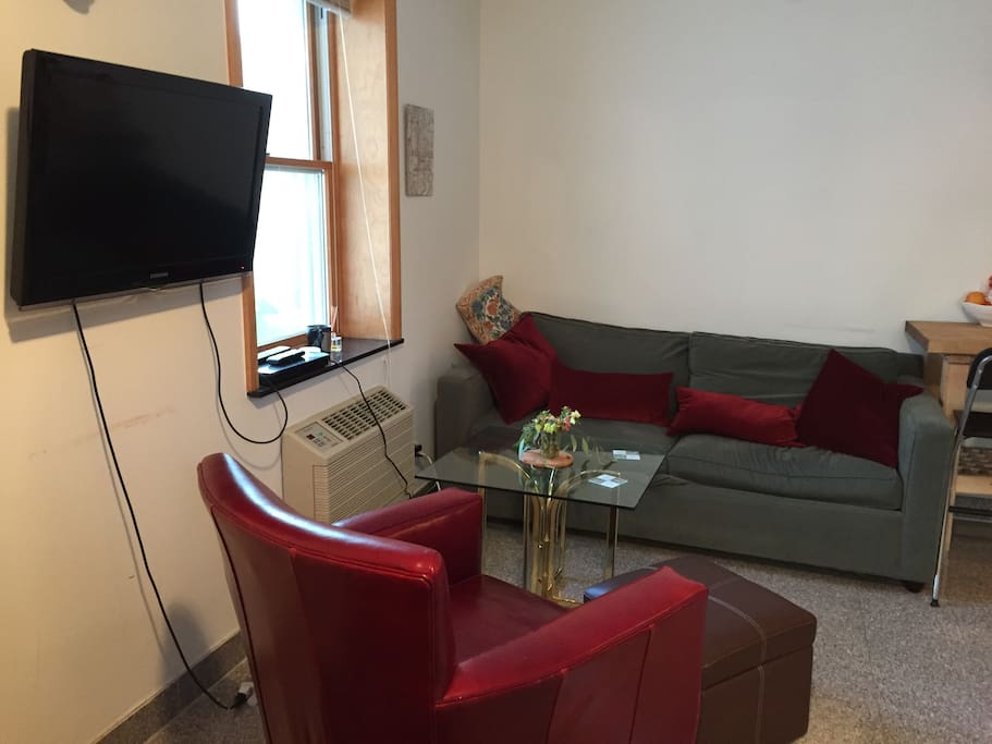 TV with blu ray player & netflix. Queen-sized pull-out couch