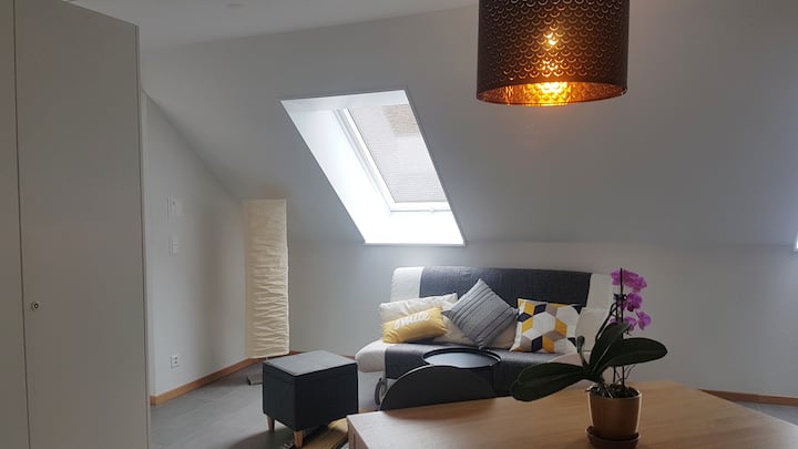 Appartement Mansardé Pour 2 à 6 Personnes - Yverdon-les-Bains