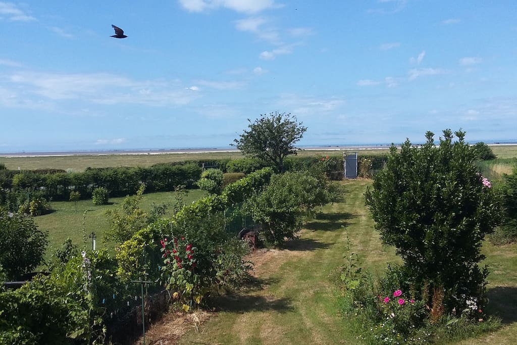 Vue sur la baie du Mont Saint Michel et sur Cancale