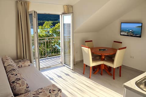 Successful Airbnb property: Comfortable apartment with a sea view LEMON 3 in Milna