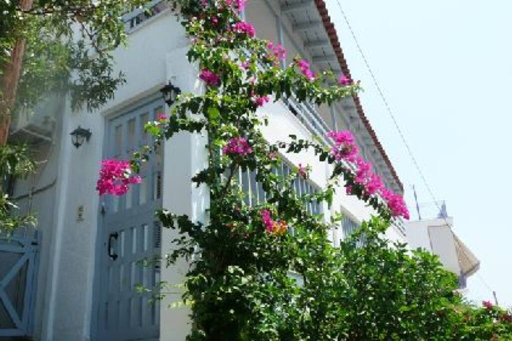 Front entrance to Lemon Tree House