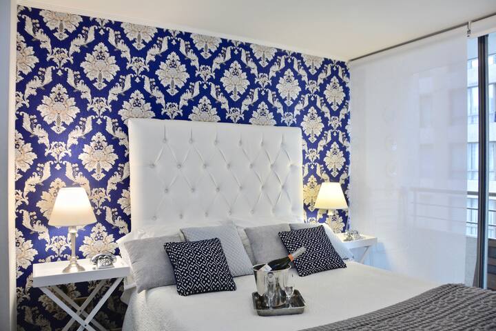 Elegant Apartment Central Santiago/Lastarria