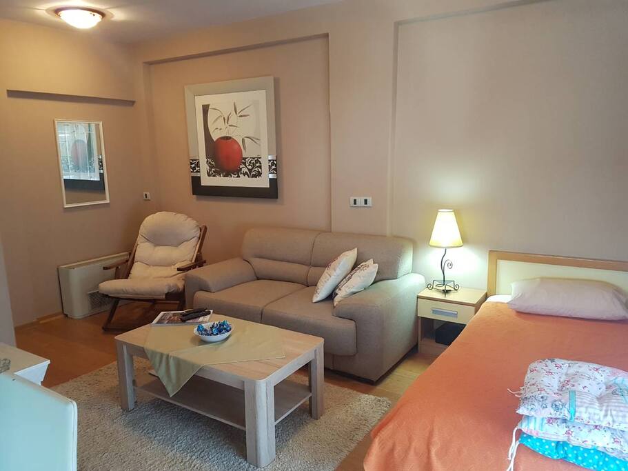 Living Room with all Amenities