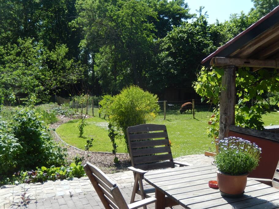 Privé terras vakantiewoning