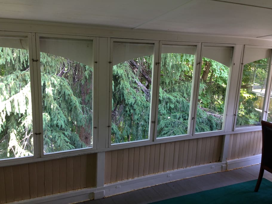 Porch with single bed