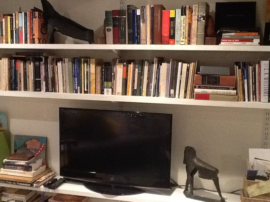 Extensive Library in Private Studio, Streaming TV, quiet study & sleep space