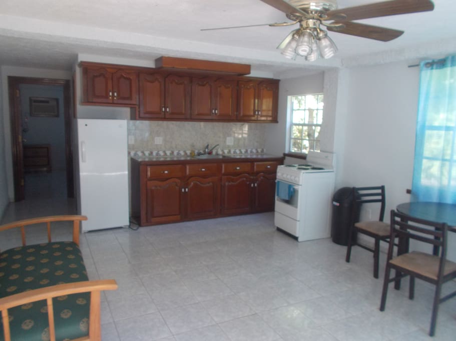 Living /Kitchen area