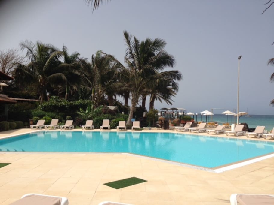Plenty of sunbeds ....