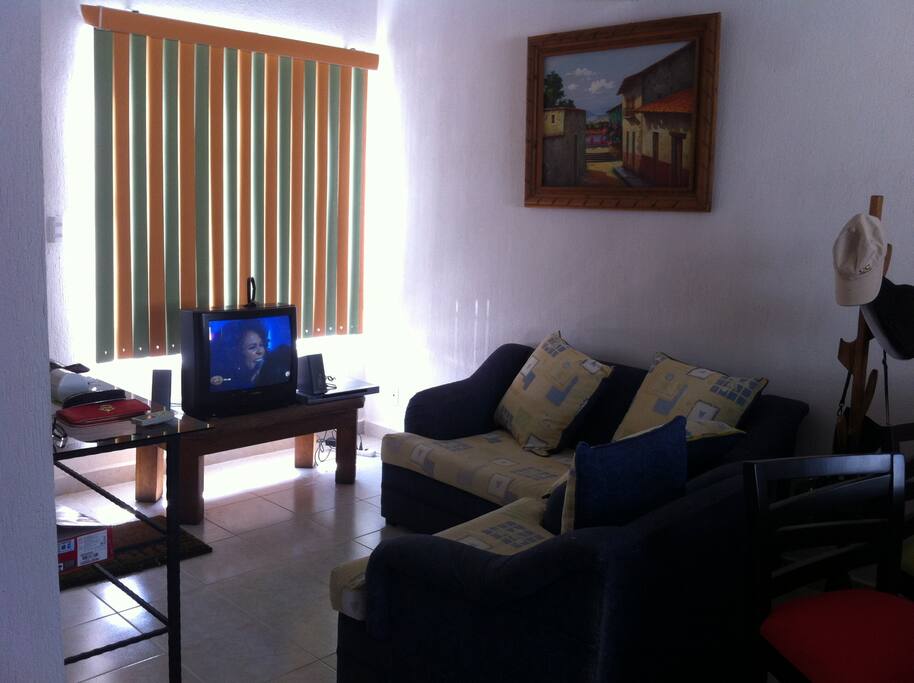 SALA CON SILLON Y SOFA