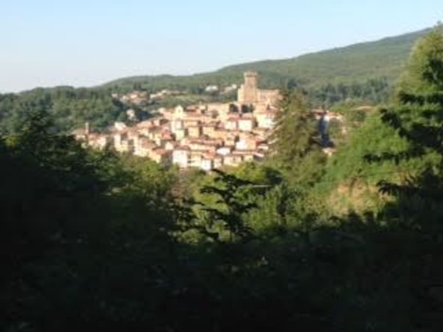 The village of Arcidosso