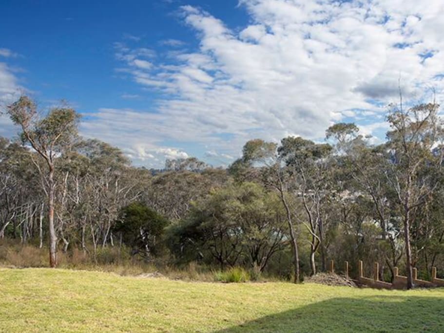 Back garden grassy outlook with bush views