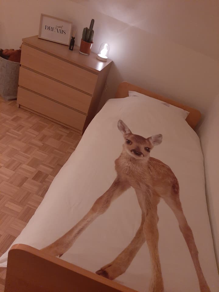 Habitación 2