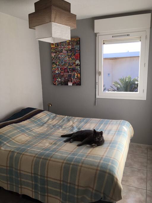 (sans le chat... :-)