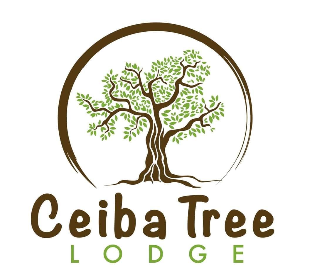 The logo of Ceiba Tree Lodge features a stylized tree with green leaves, symbolizing nature and tranquility. The design is framed by a circular brown outline, with the name 'Ceiba Tree Lodge' displayed in a welcoming font beneath the tree.