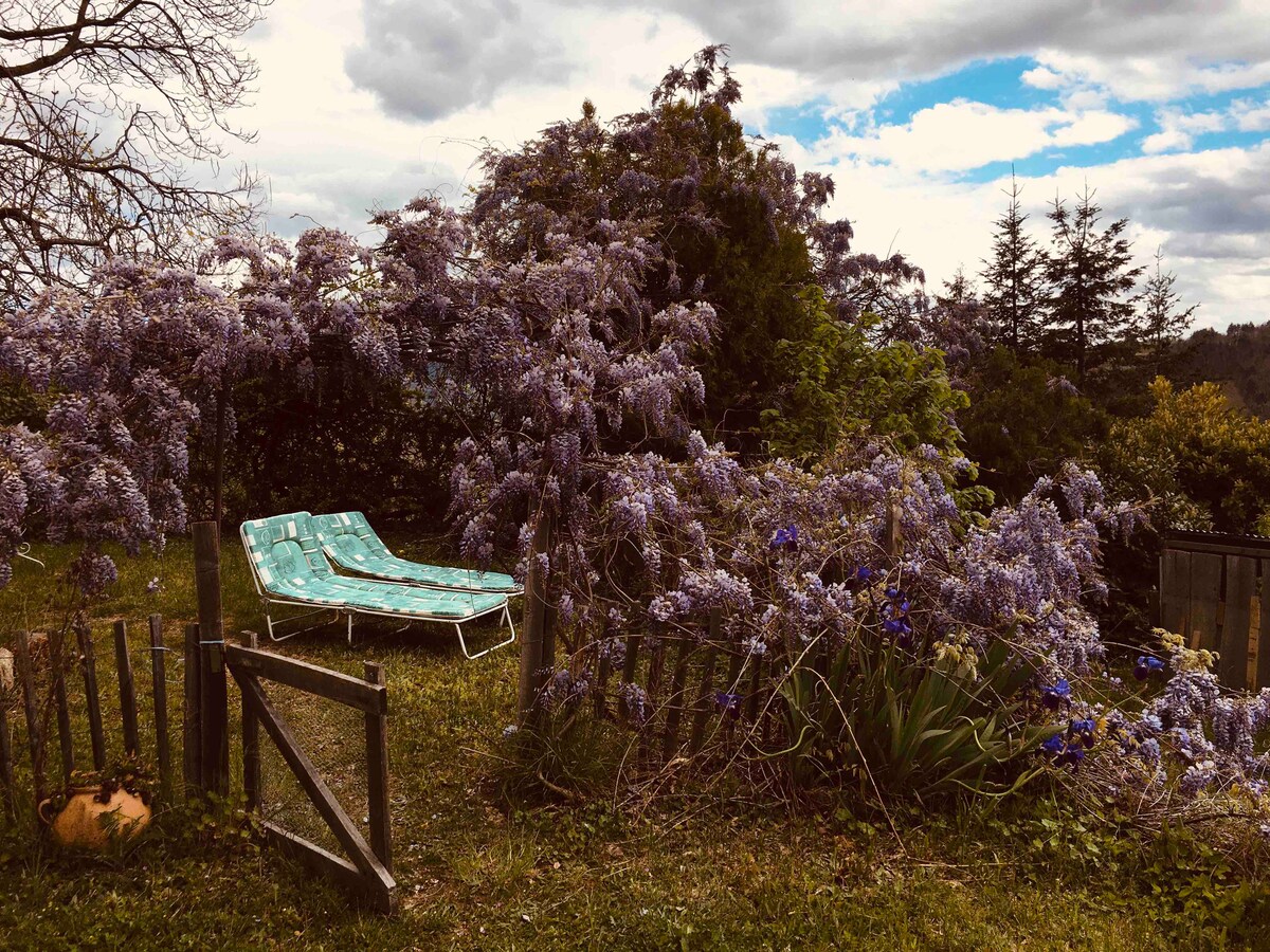 A serene outdoor space is surrounded by lush greenery, featuring a pair of lounge chairs positioned under a wisteria-covered trellis. Vibrant purple flowers and greenery create a peaceful environment, while an open gate invites exploration of the garden's natural beauty.
