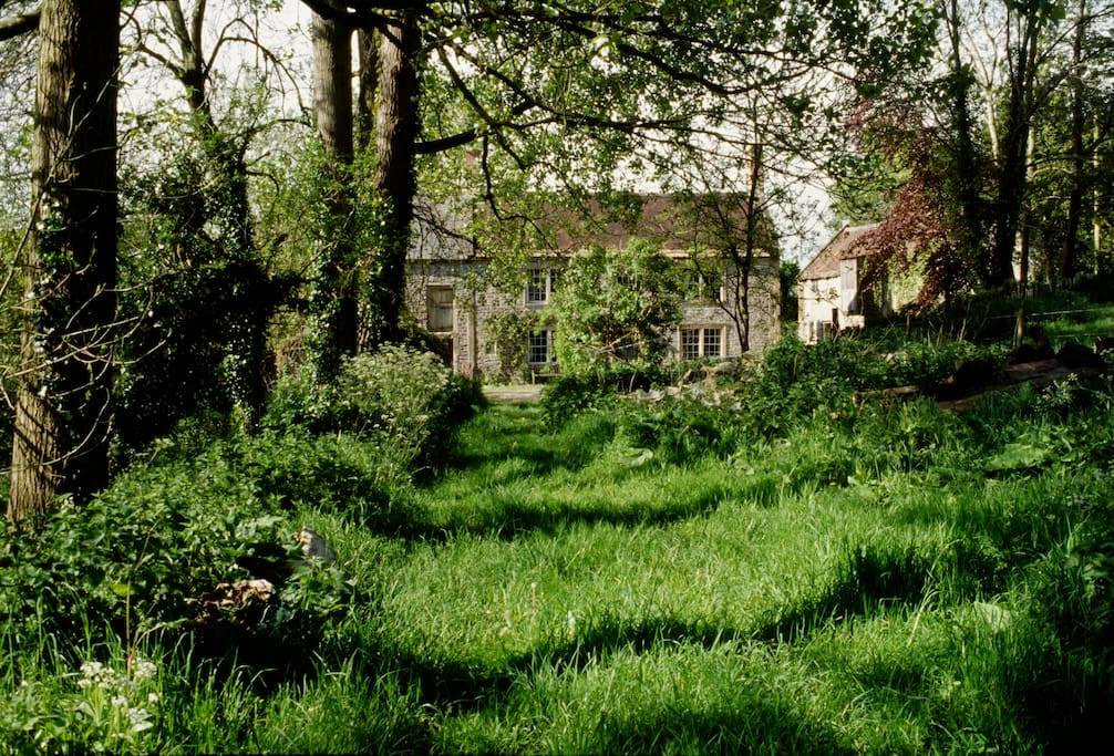 View of Mill house, edge of mill to left and Miller's Cottage and Grainstore to right.