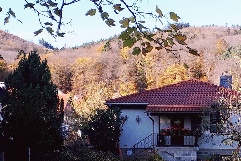 Blick auf die Harzberge