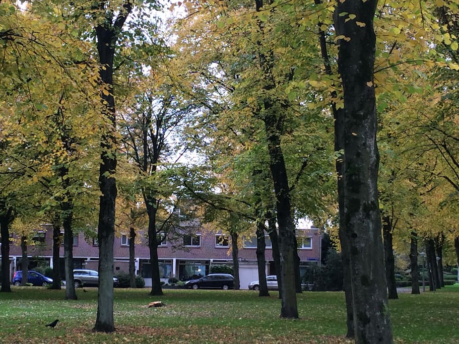 Familyhouse in green area next to park