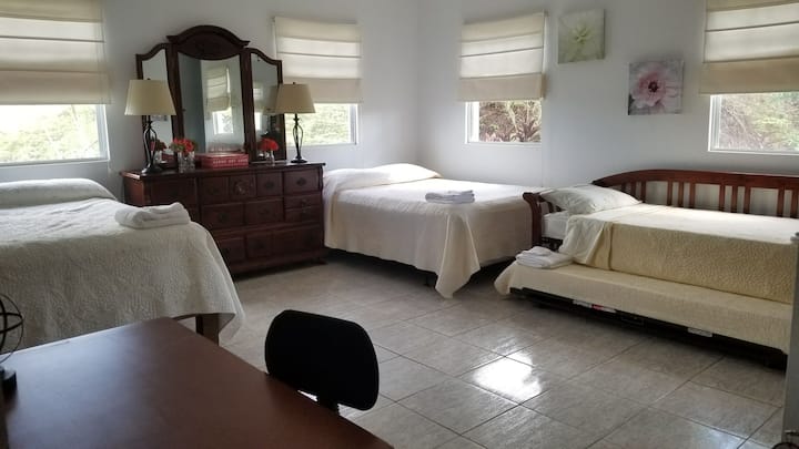 1号房间（主卧）设有1张特大双人床、2张双人床、1张办公桌区和1间全功能卫生间（此图片不及时）。