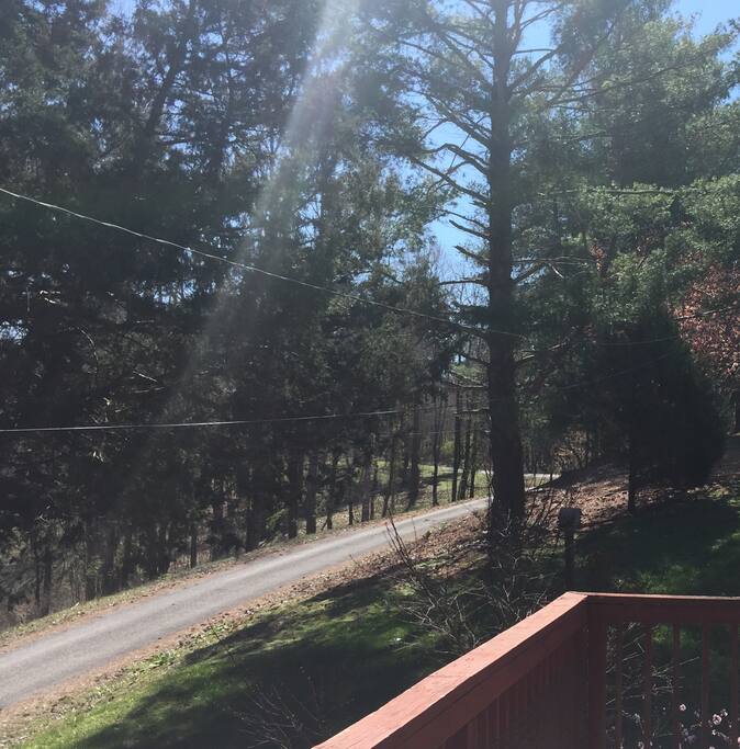 View up the road. April 2018.
