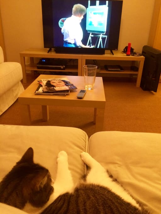 Television