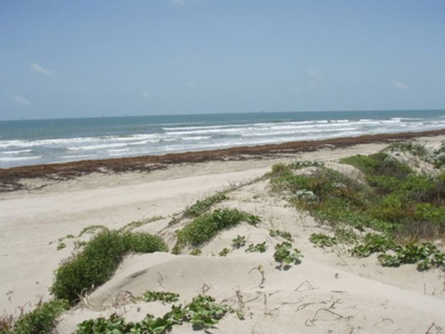 Gulf of Mexico, a short walk down a sidewalk from the condo!