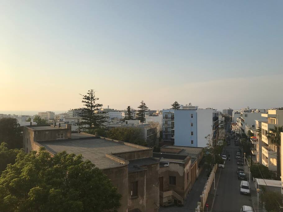 Afternoon Evening view