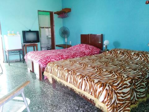 Albita´s Place, Hab. 2