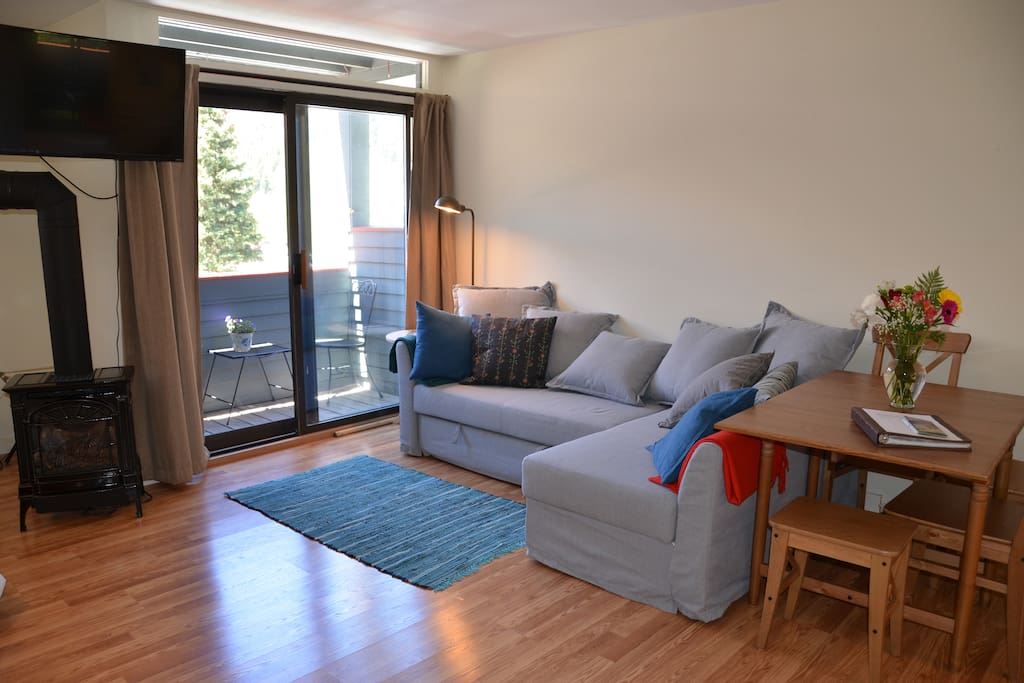 Couch pulls out into a full size bed. Outside deck to enjoy your coffee.