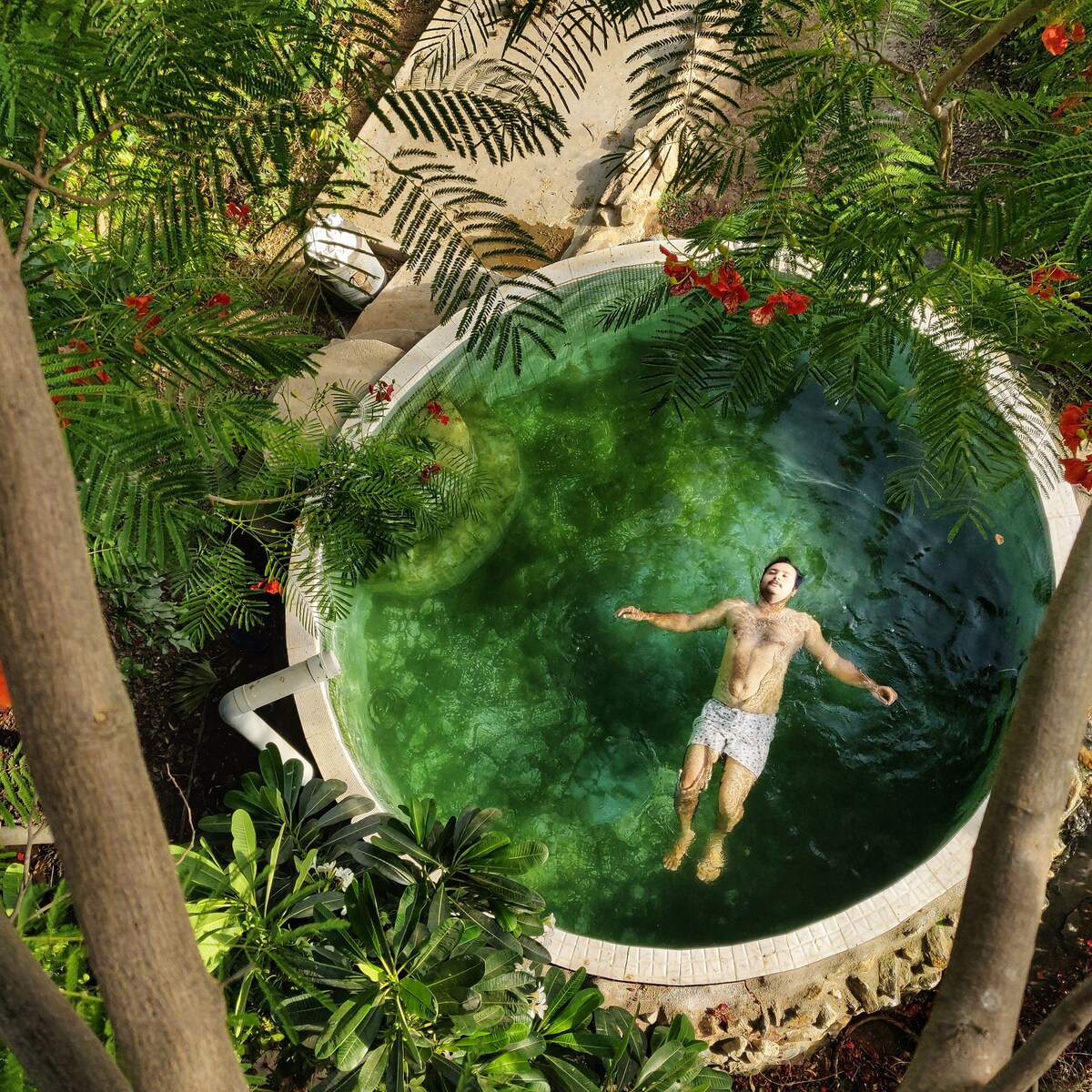 A circular pool is nestled among lush greenery, featuring clear green water. Palm and flowering plants surround the pool, creating a serene environment. A person is seen enjoying the water, illustrating a calm and relaxing atmosphere in the countryside.