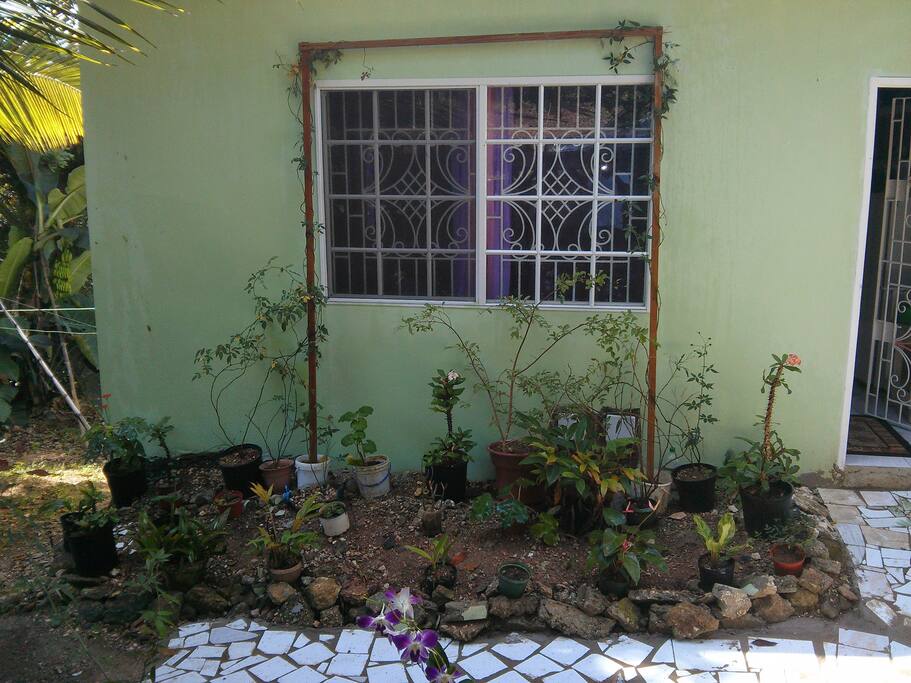 Outside Garden