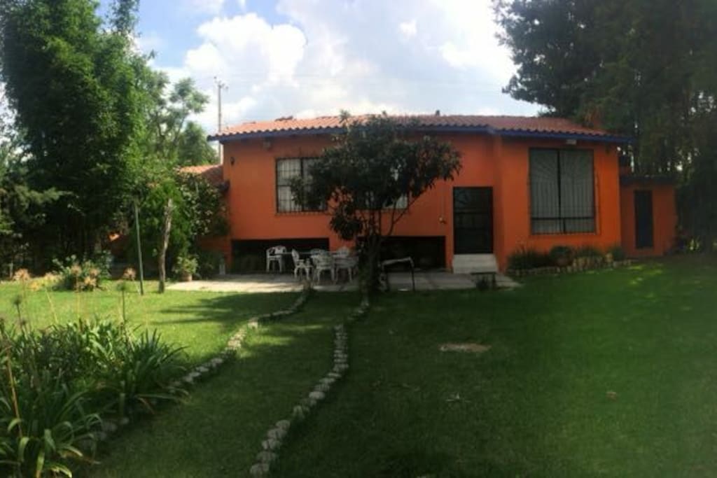 Jardín / Terraza