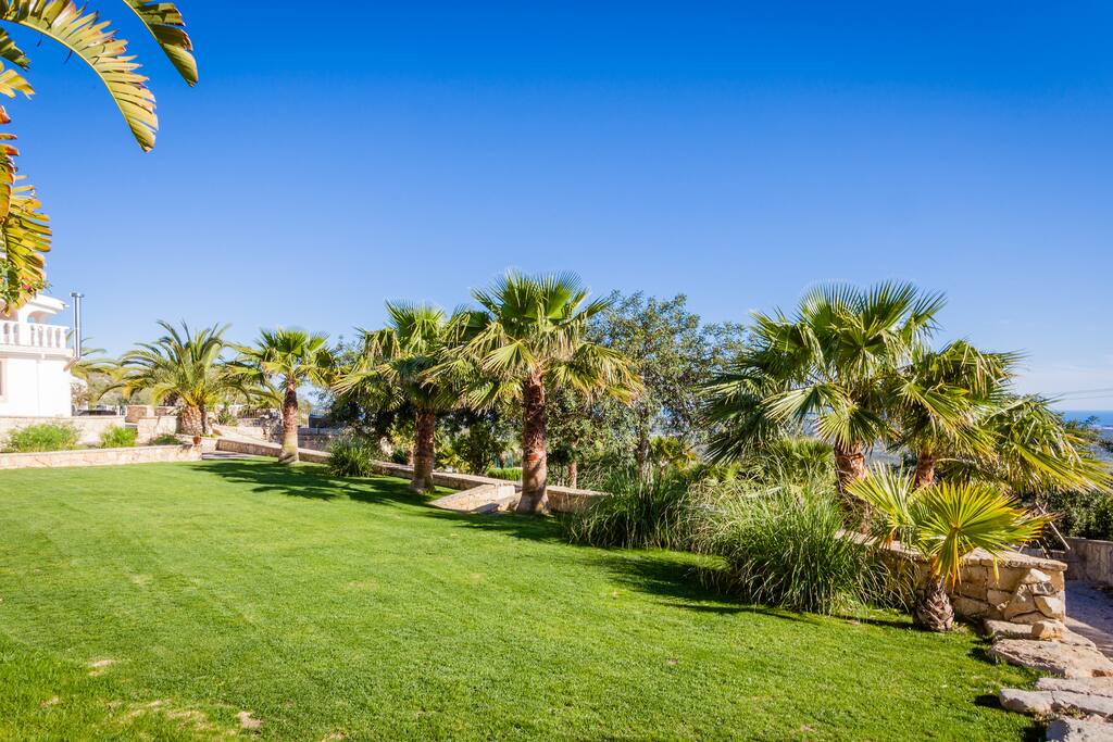 Lawn