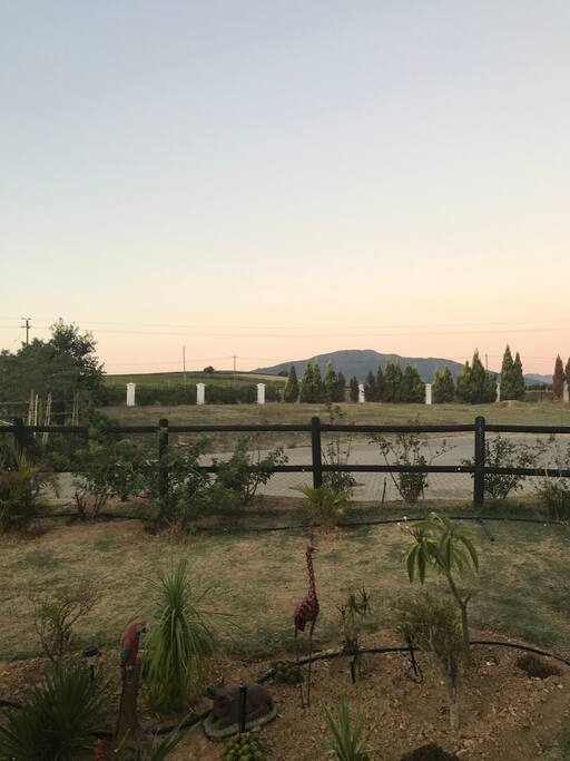 Big garden and walks in the Estate. Walking distance from central village