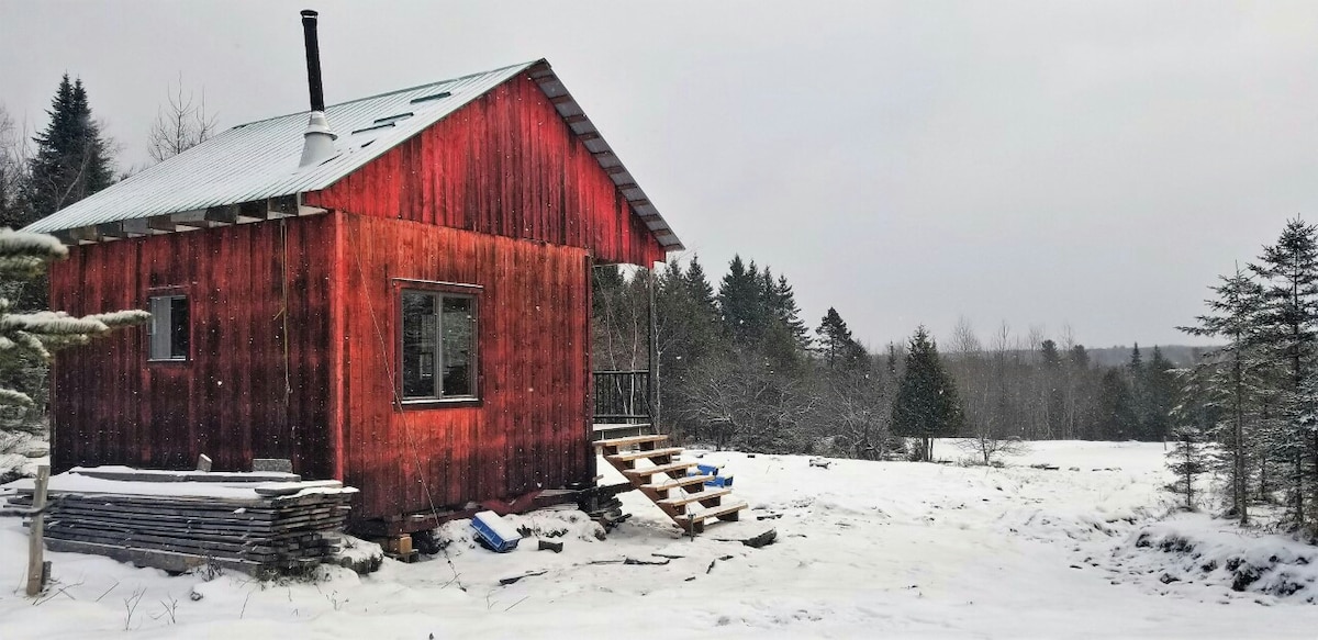 A rustic cabin made of red wood is shown, set against a snowy landscape. A small set of steps leads to the entrance, with a porch visible. Snow covers the ground and trees in the background, creating a serene winter scene.